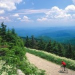 summerbiker