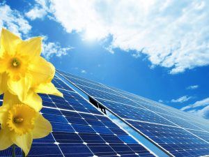 solar-panels-with-yellow-flowers-in-foreground